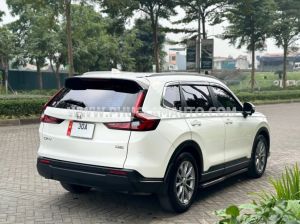 Xe Honda CRV L 2024