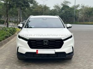 Xe Honda CRV L 2024