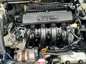 Xe Honda City 1.5TOP 2019
