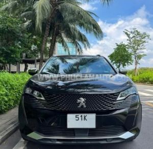 Xe Peugeot 3008 AL 2021