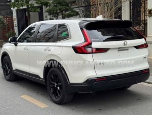 Xe Honda CRV G 2023