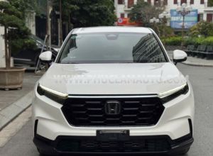 Xe Honda CRV G 2023