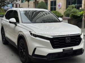 Xe Honda CRV G 2023