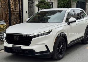 Xe Honda CRV G 2023