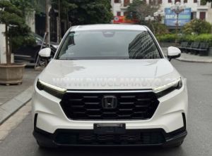 Xe Honda CRV G 2023