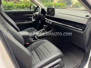 Xe Honda CRV G 2023