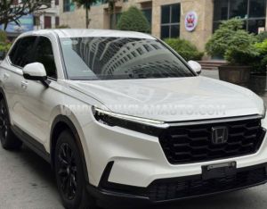 Xe Honda CRV G 2023