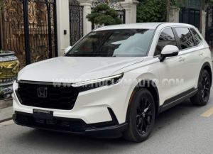 Xe Honda CRV G 2023