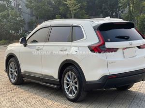Xe Honda CRV L 2024