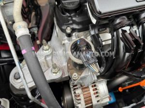 Xe Honda Jazz RS 2019