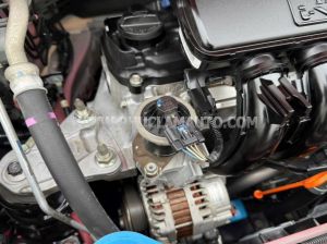Xe Honda Jazz RS 2019