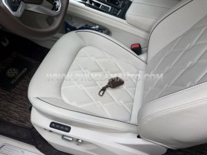 Xe Volkswagen Viloran Luxury 2024